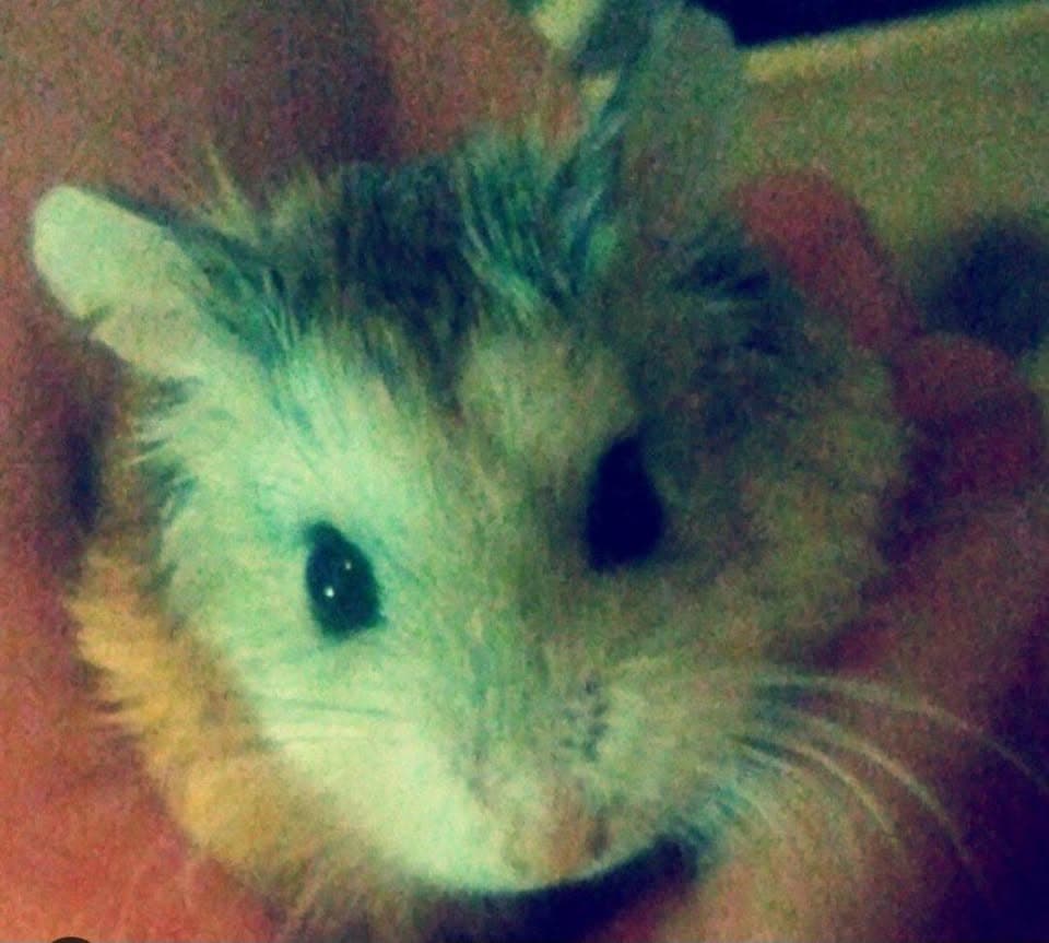 Tequila